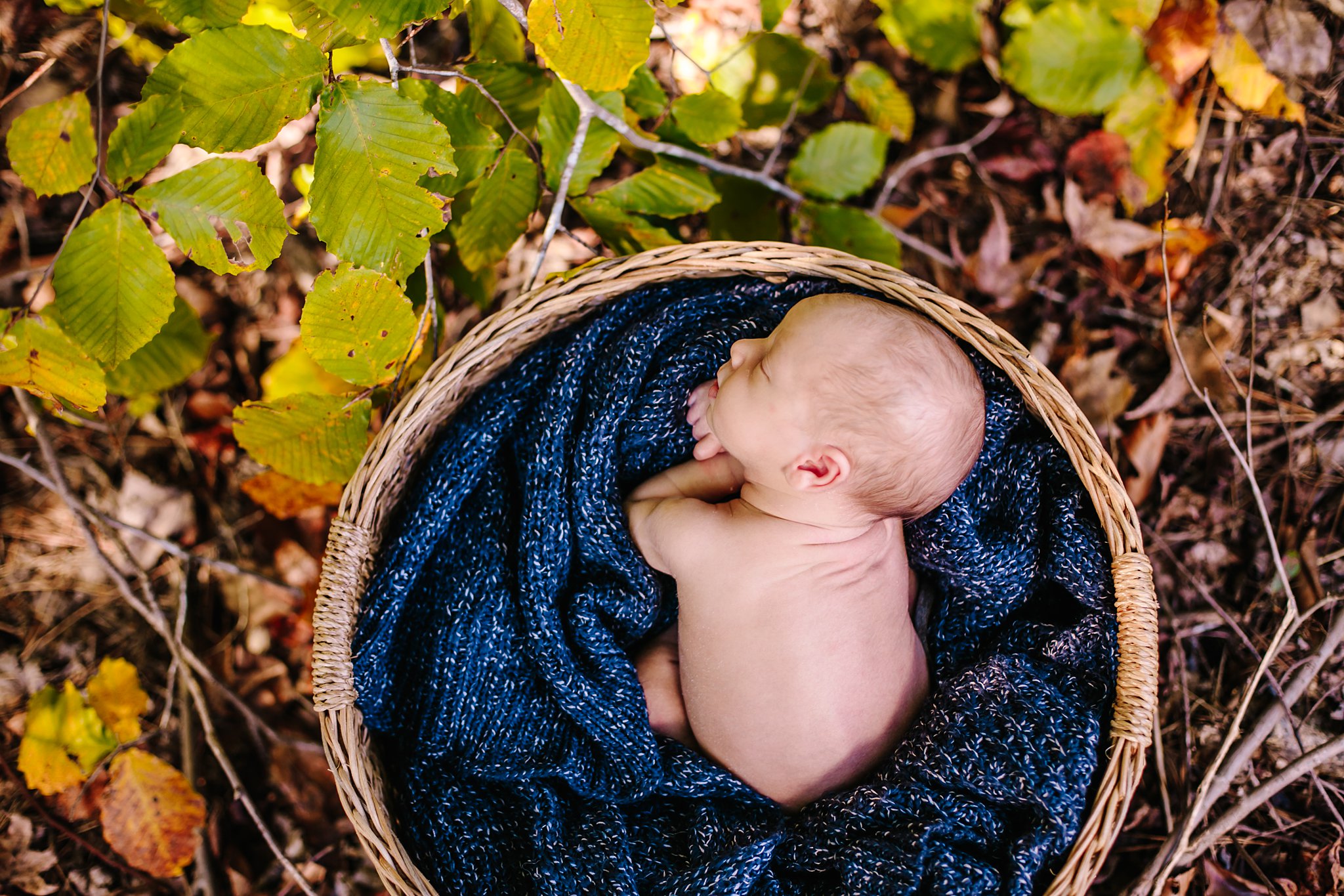 holly-springs-newborn-photographer-owen-0074.jpg