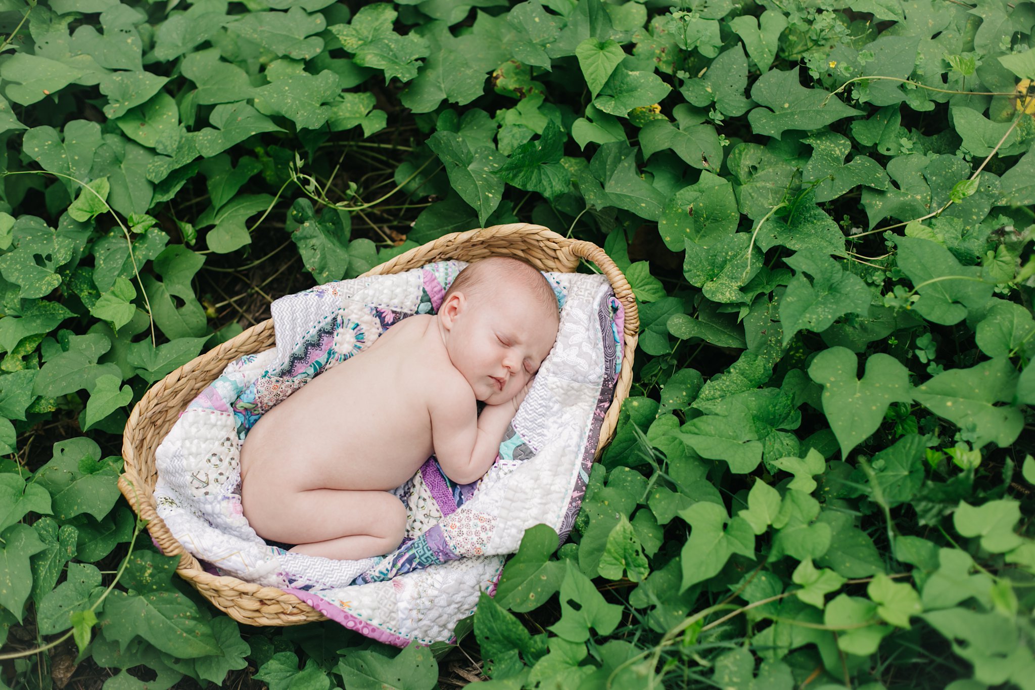 sleeping newborn girl in garden