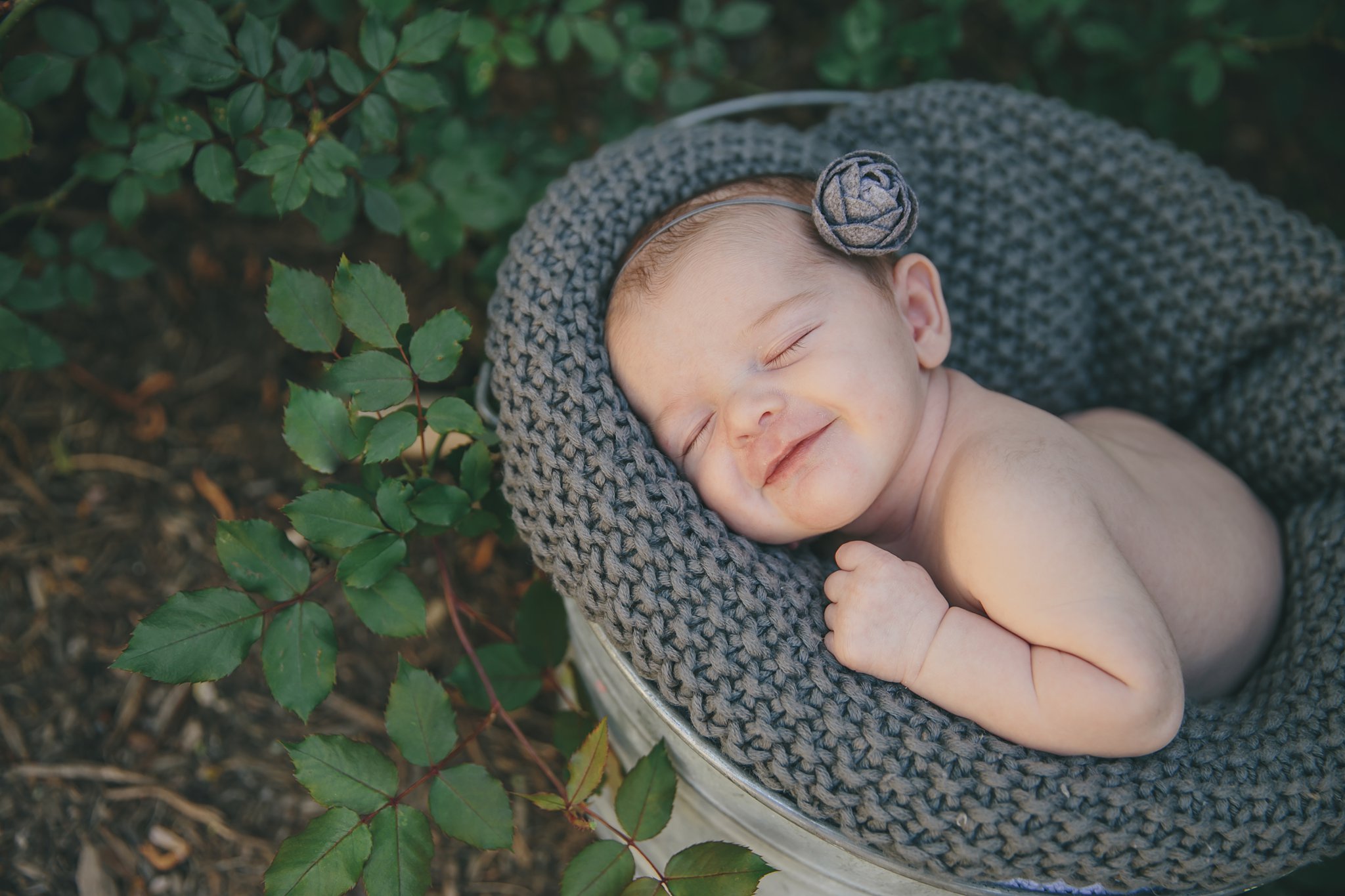 sleeping newborn girl in rose garden