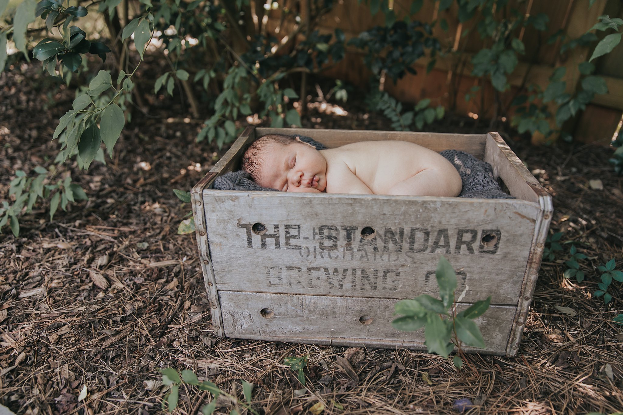 sleeping newborn boy outside in crate