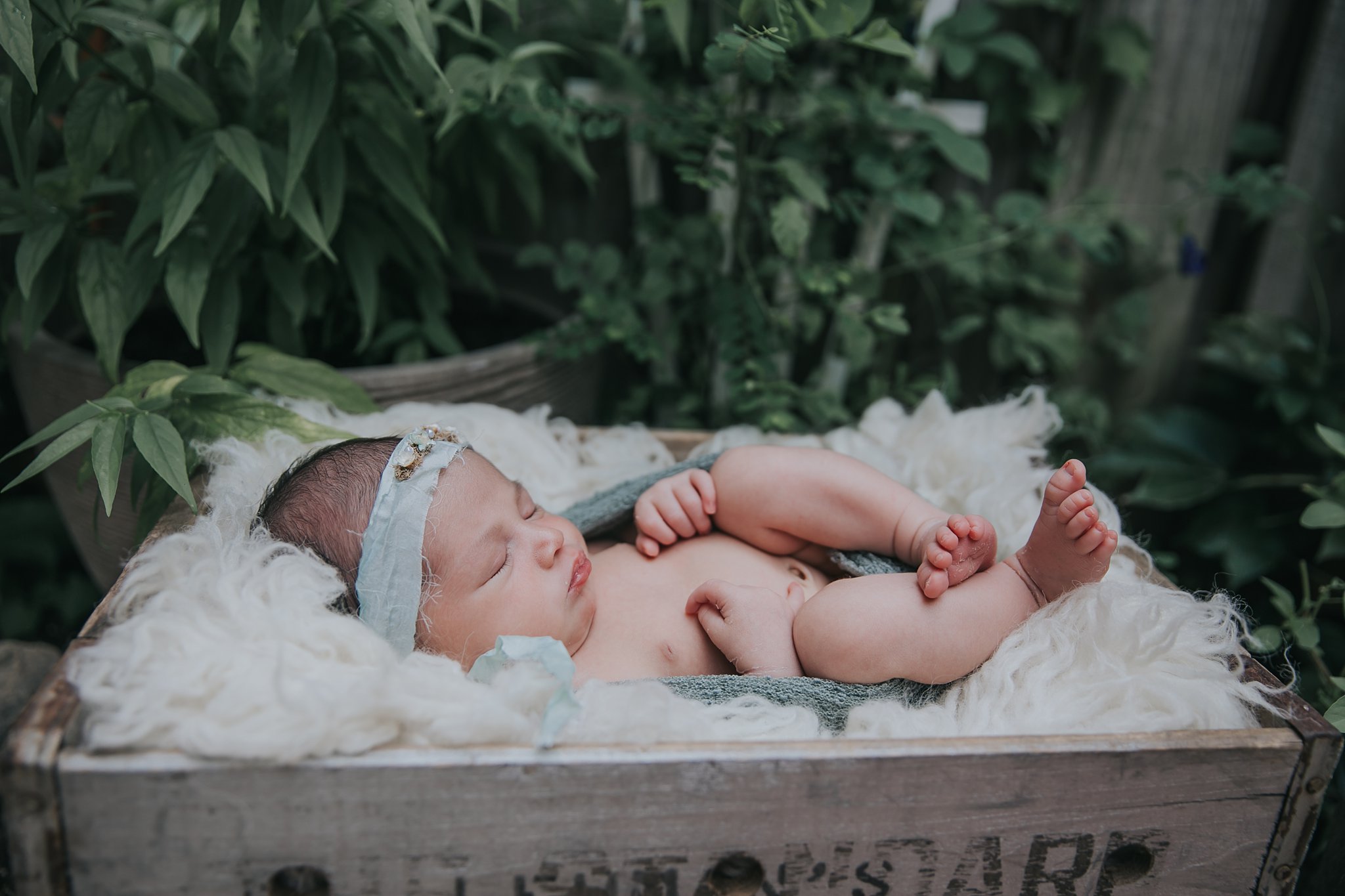 sleeping newborn girl in garden for photography